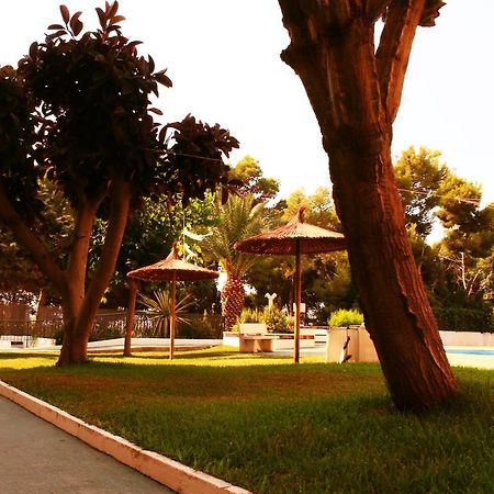 Coveta Beach Apartament El Campello Eksteriør billede