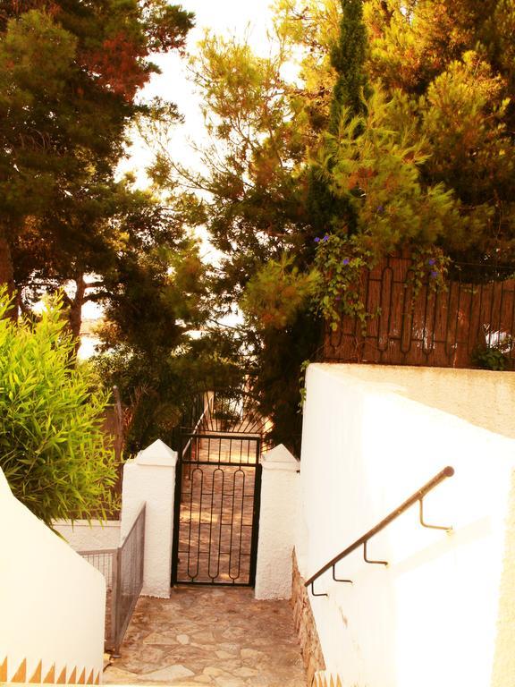 Coveta Beach Apartament El Campello Eksteriør billede