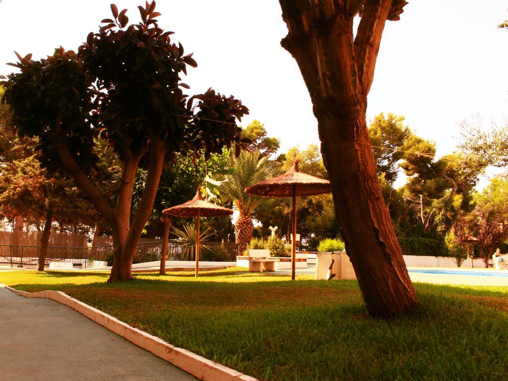 Coveta Beach Apartament El Campello Eksteriør billede
