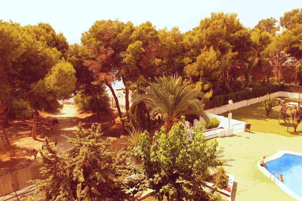Coveta Beach Apartament El Campello Eksteriør billede