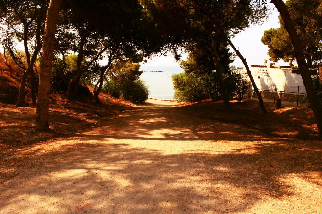 Coveta Beach Apartament El Campello Eksteriør billede